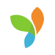 Yii framework